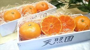 みかん