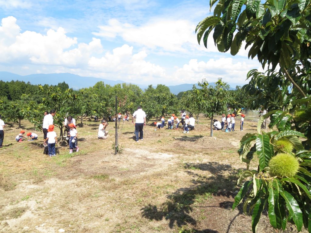 中津川マロンパーク いが栗の里