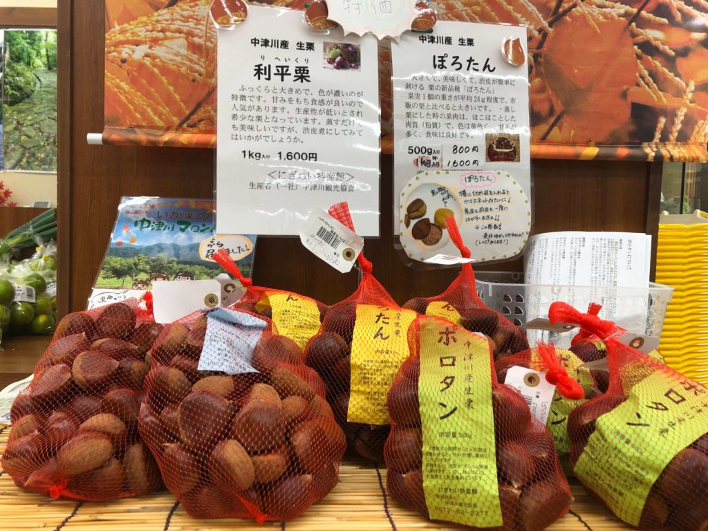 中津川マロンパーク いが栗の里のクリ