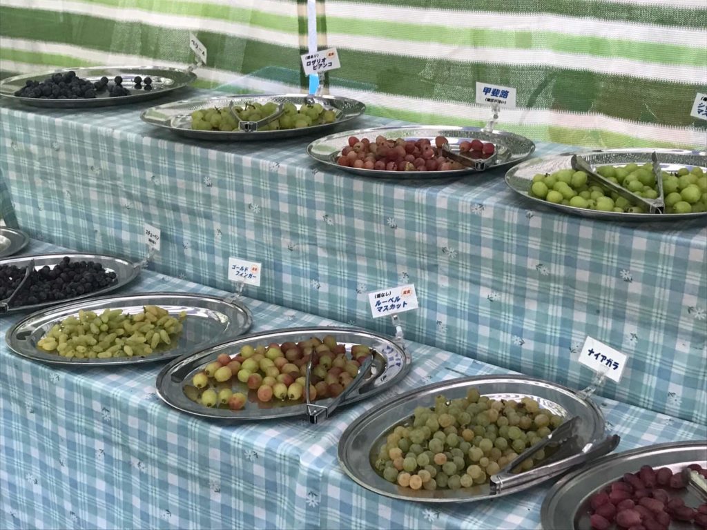 片田園 フルーツバイキングの様子
