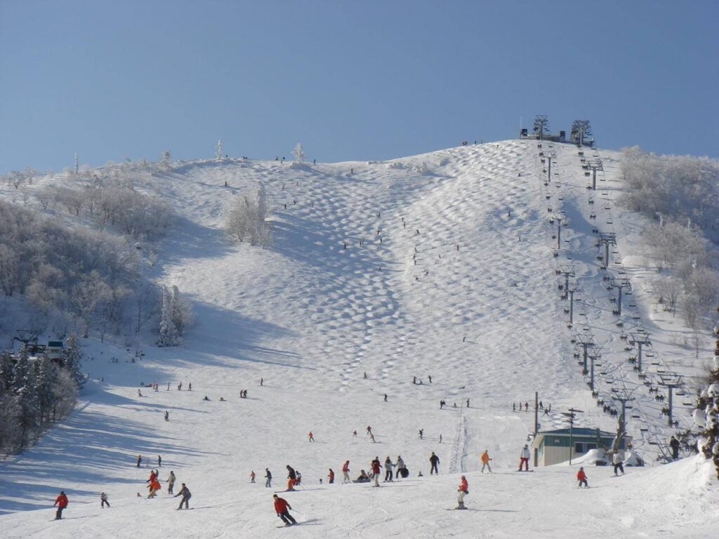 ハチ北・ハチ高原スキー場